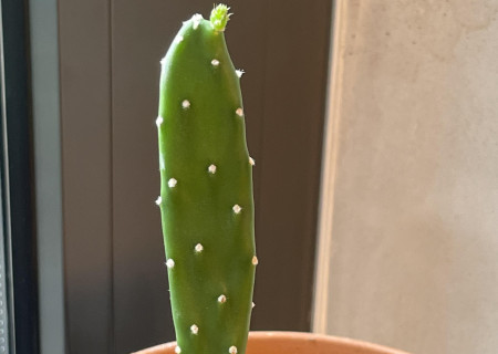 79B99D65-547C-4E41-BD50-858CA751E8CF