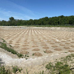 BE72AD25-ADF0-4987-A011-7259623CA3C1