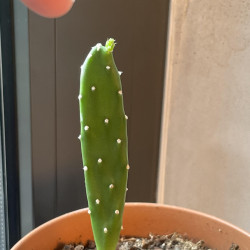 79B99D65-547C-4E41-BD50-858CA751E8CF