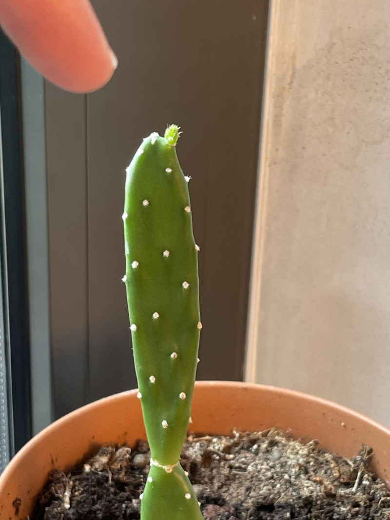 79b99d65-547c-4e41-bd50-858ca751e8cf