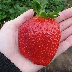 Bildschirmfoto 2021-06-28 um 10.01.34