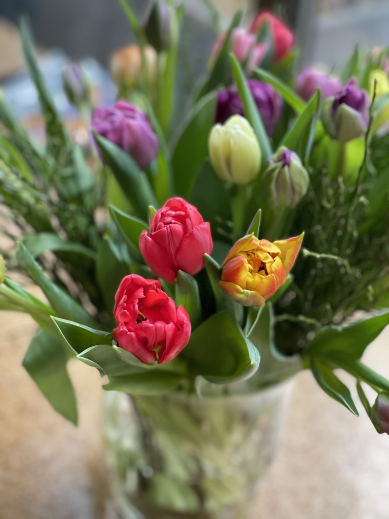 92099f71-d3d9-4a58-972b-cdeaeeea6acf