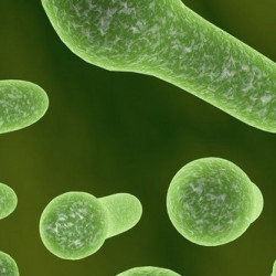 DB2691DE-FE82-4AF7-B194-11912AC293D6