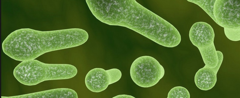 db2691de-fe82-4af7-b194-11912ac293d6