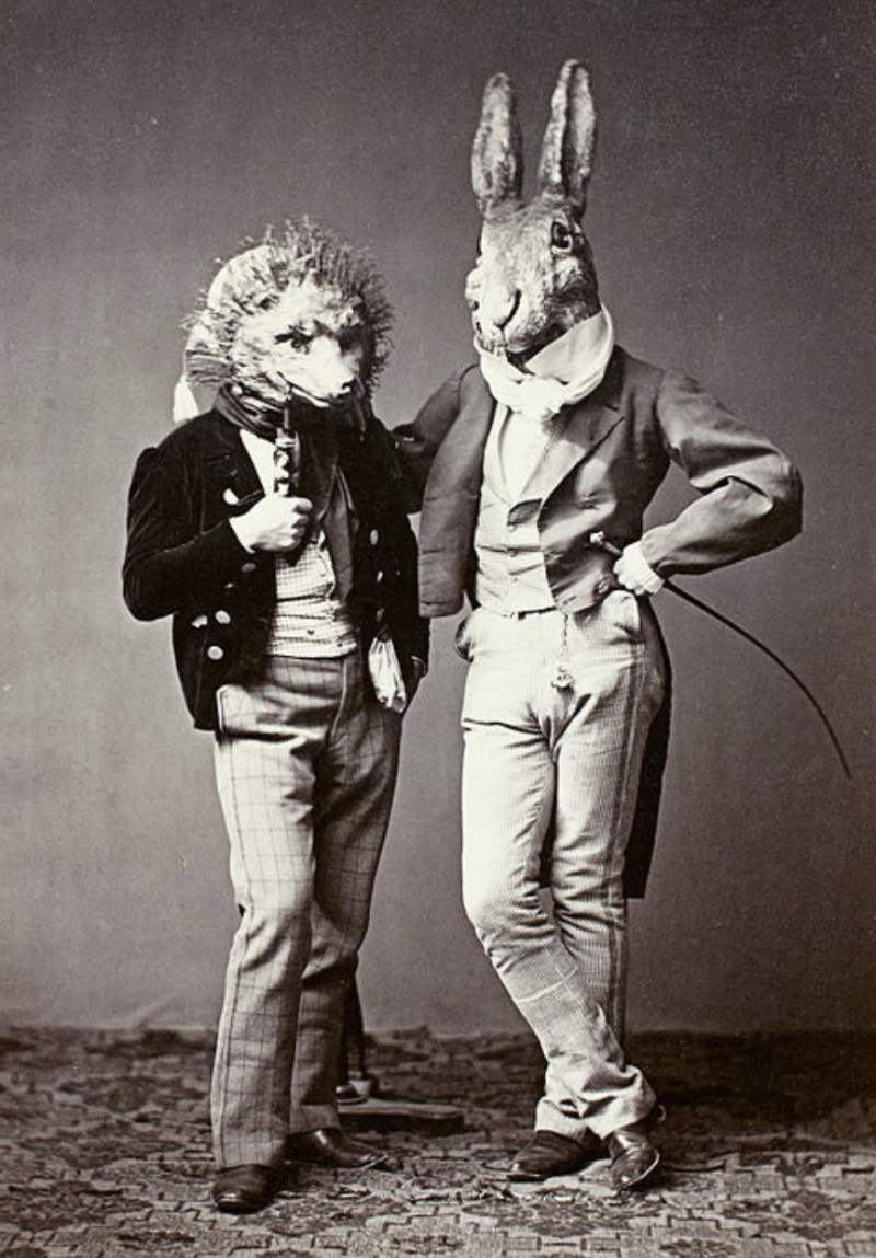 b0f98e7b-ffc9-49d3-8432-03ac39f2c8dd