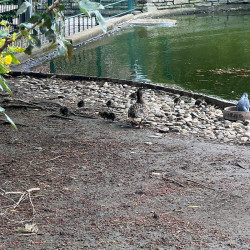 D60CCAA7-828A-46F0-BD96-17A3949E73BA