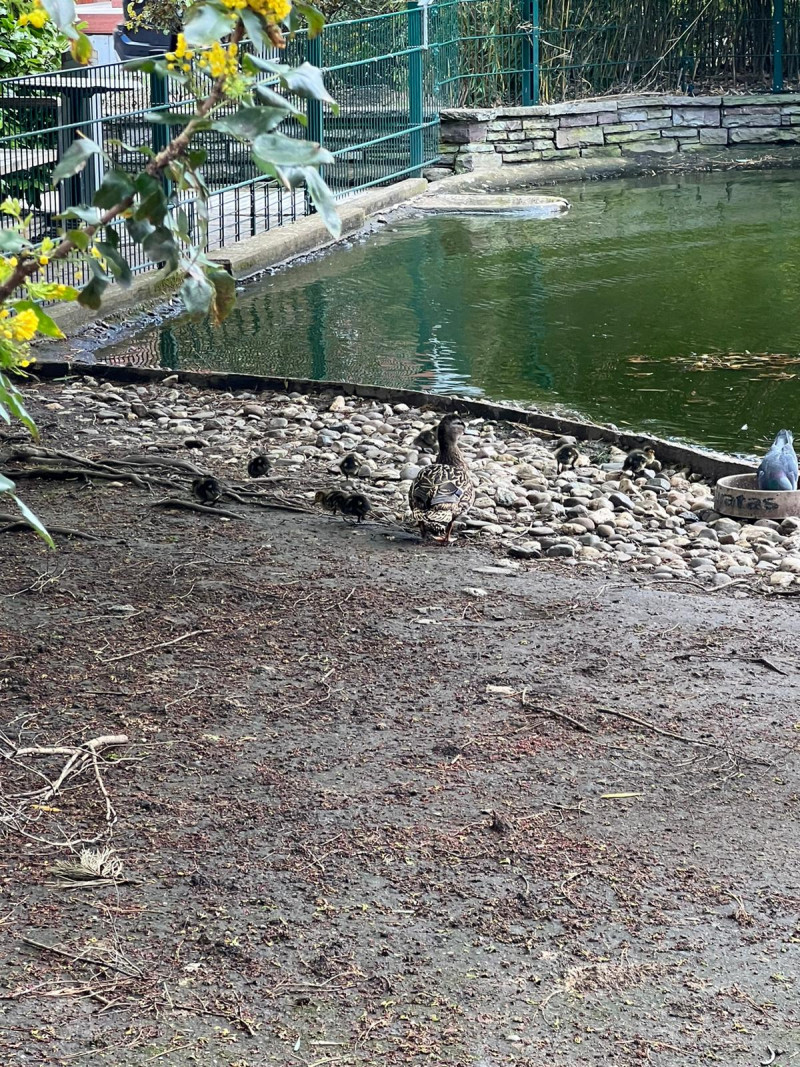 d60ccaa7-828a-46f0-bd96-17a3949e73ba